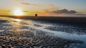 Wattenmeer