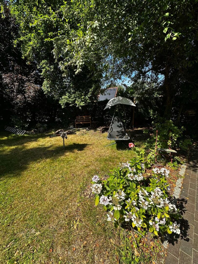 Garten Hinten