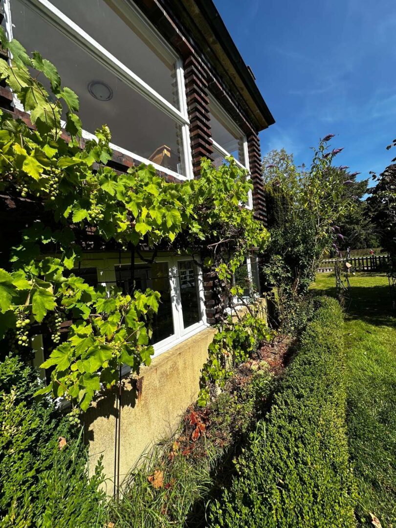 Wein am Green House