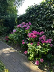 Gartenrundgang