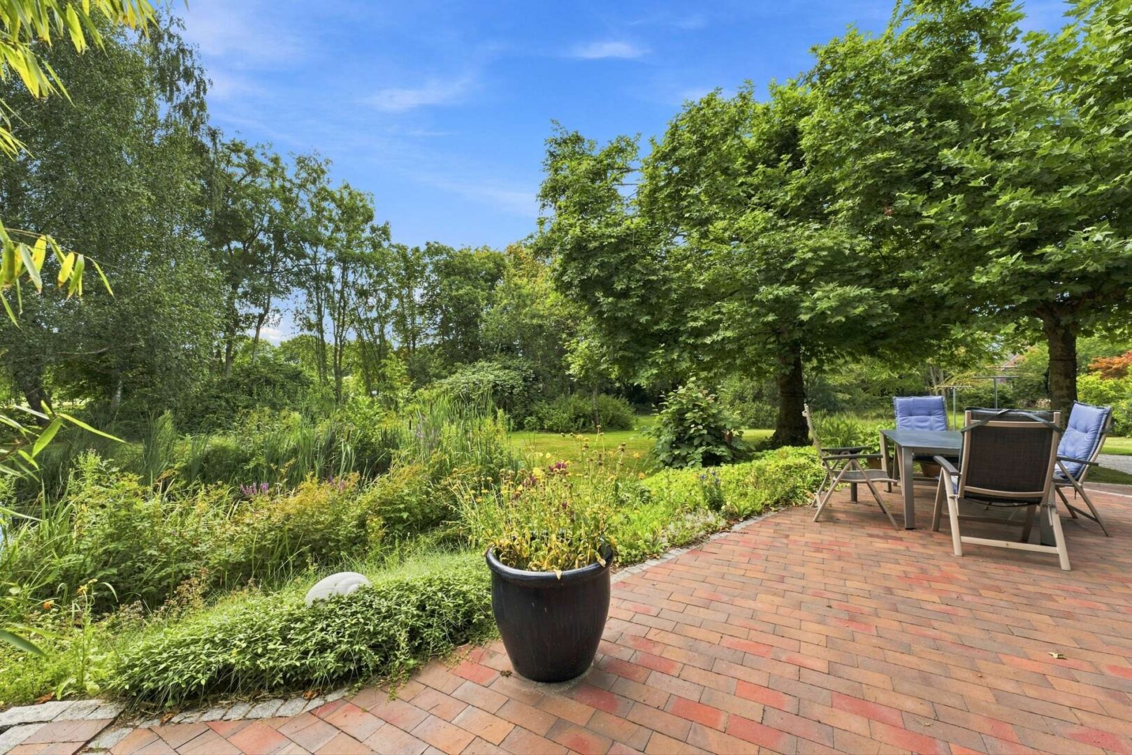 Blick in den Garten