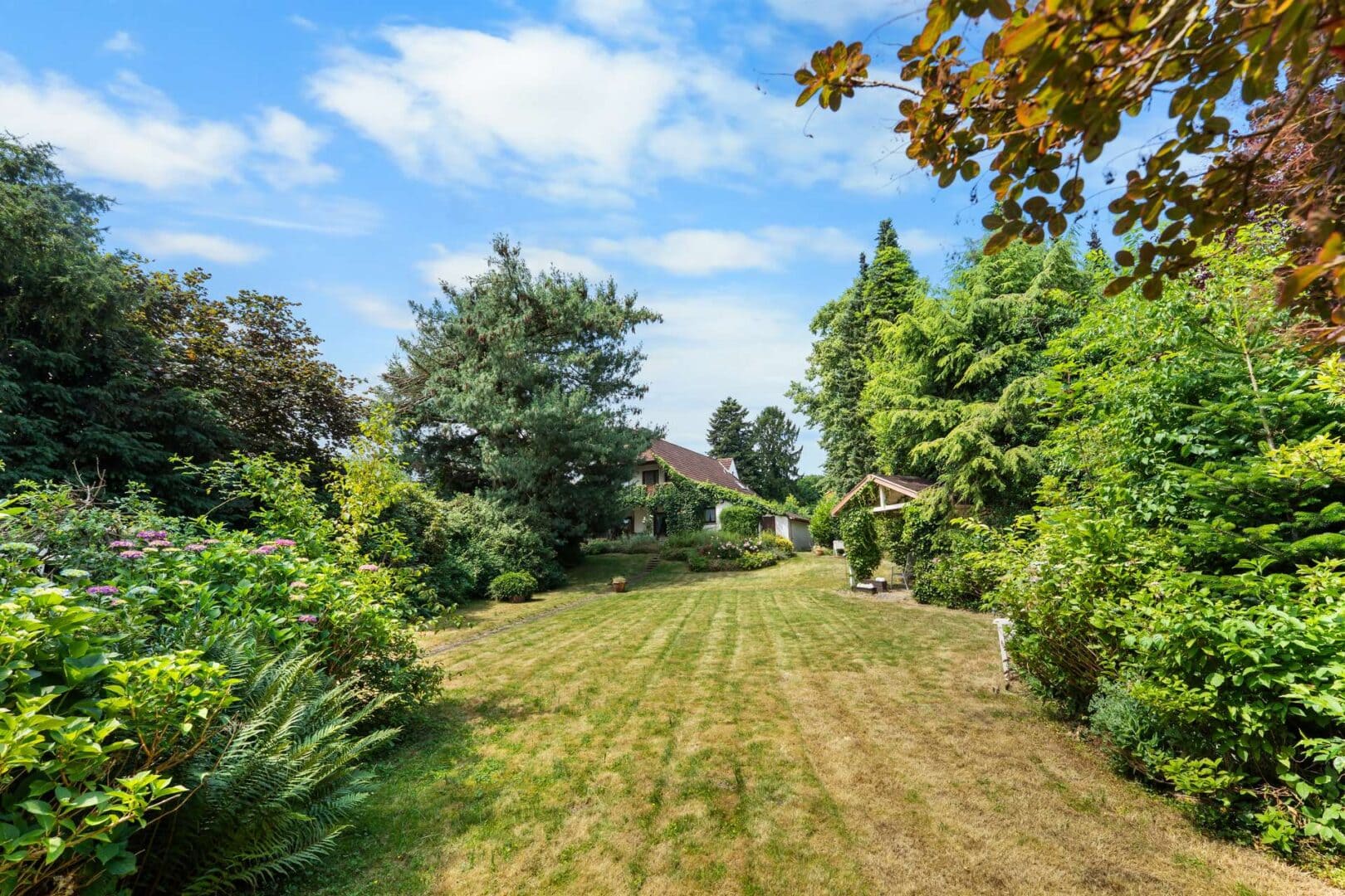 Garten - KI-generiert